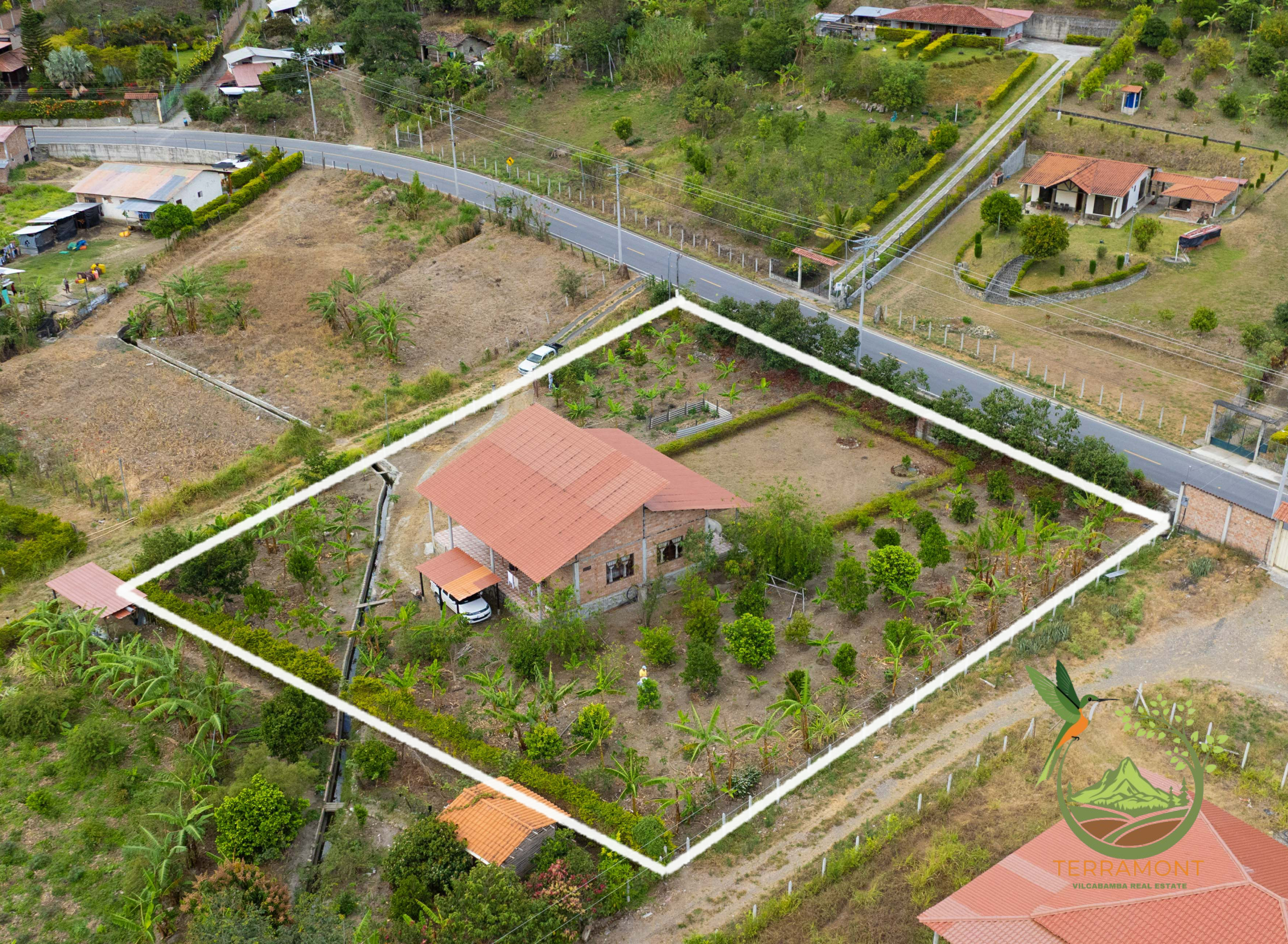 DJI_0576