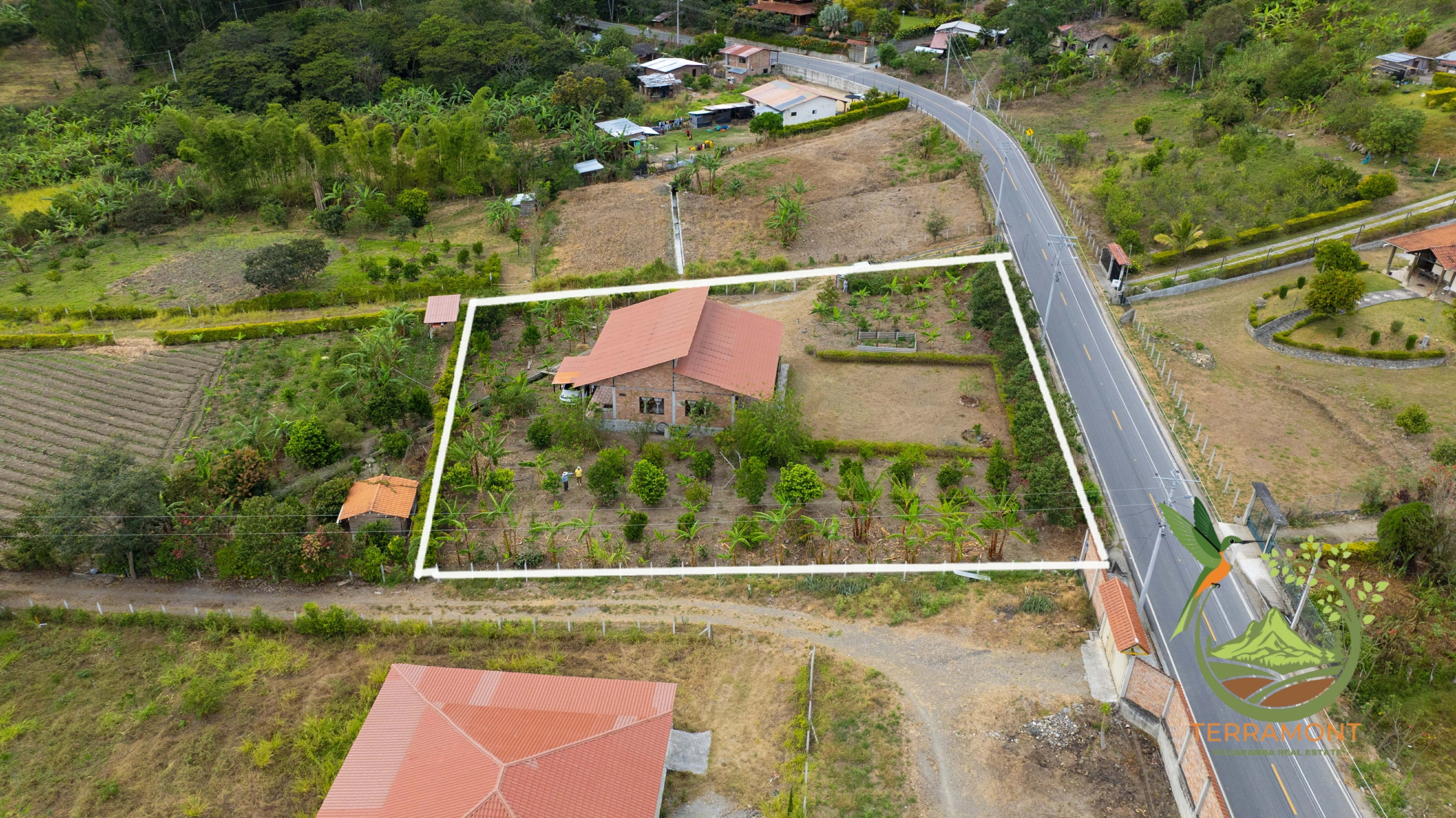 DJI_0577
