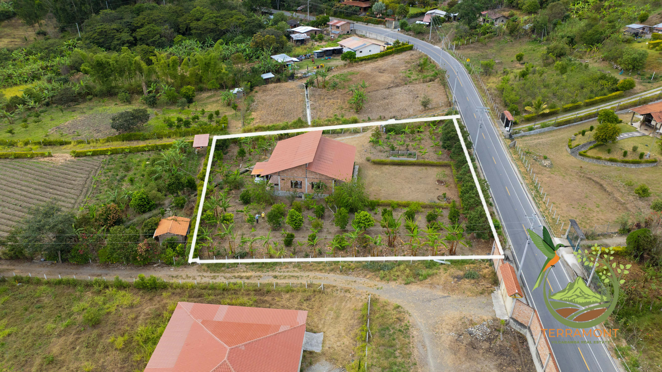 DJI_0577