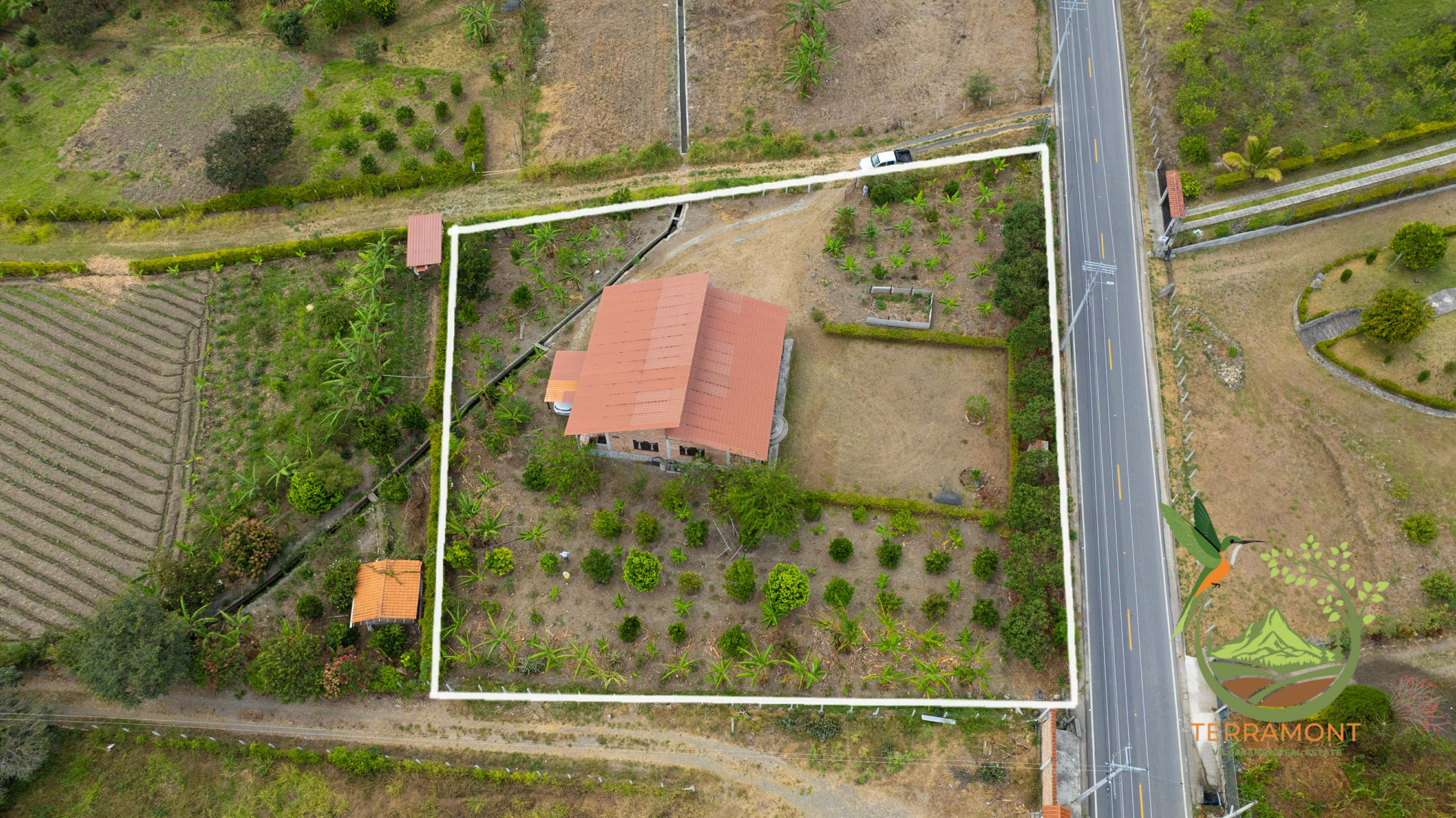 DJI_0578