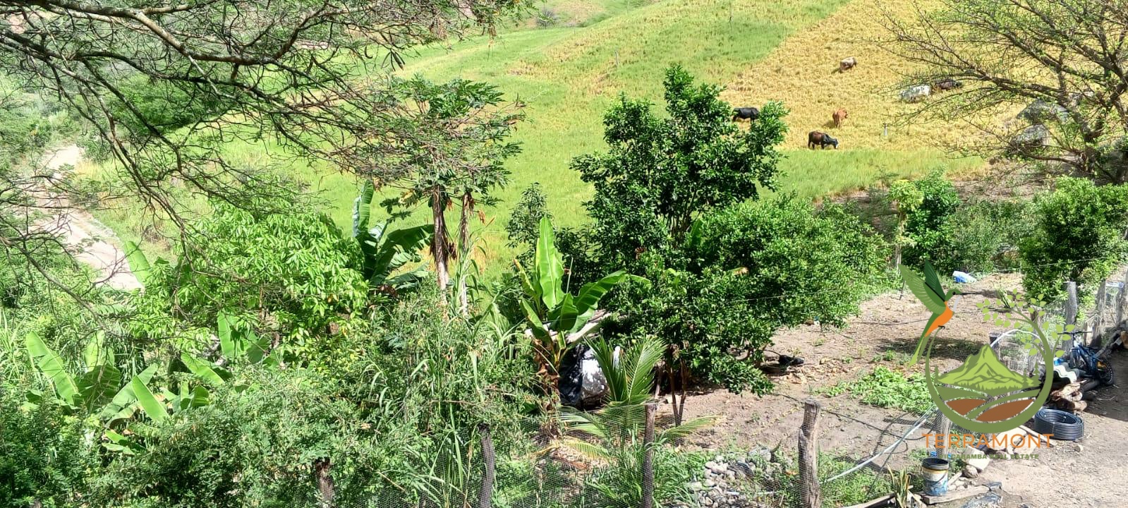 Imagen de WhatsApp 2025-08-07 a las 14.20.05_87cb34a7