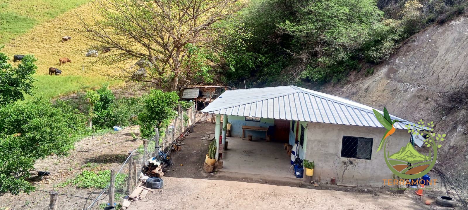 Imagen de WhatsApp 2025-08-07 a las 14.20.05_a1a87e65