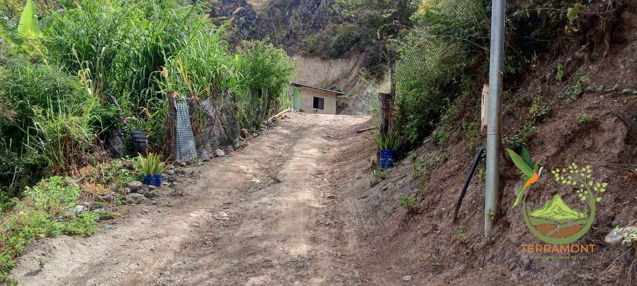 Imagen de WhatsApp 2025-08-07 a las 14.20.07_75414541