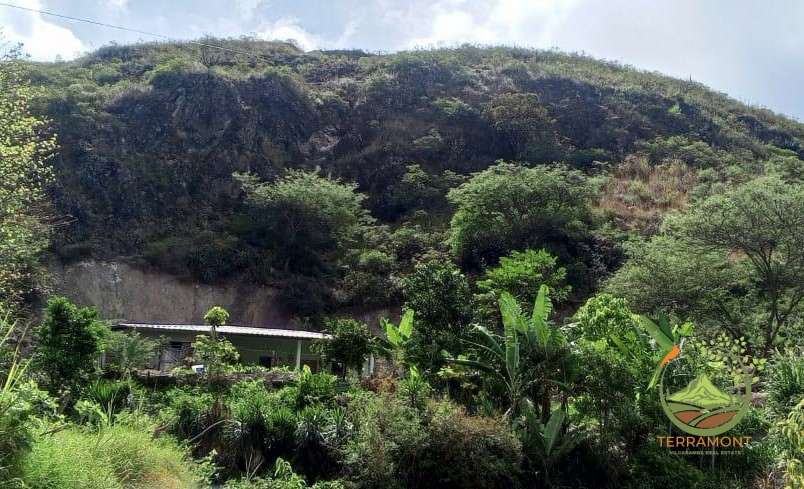 Imagen de WhatsApp 2025-08-07 a las 14.20.07_ca87d1a1