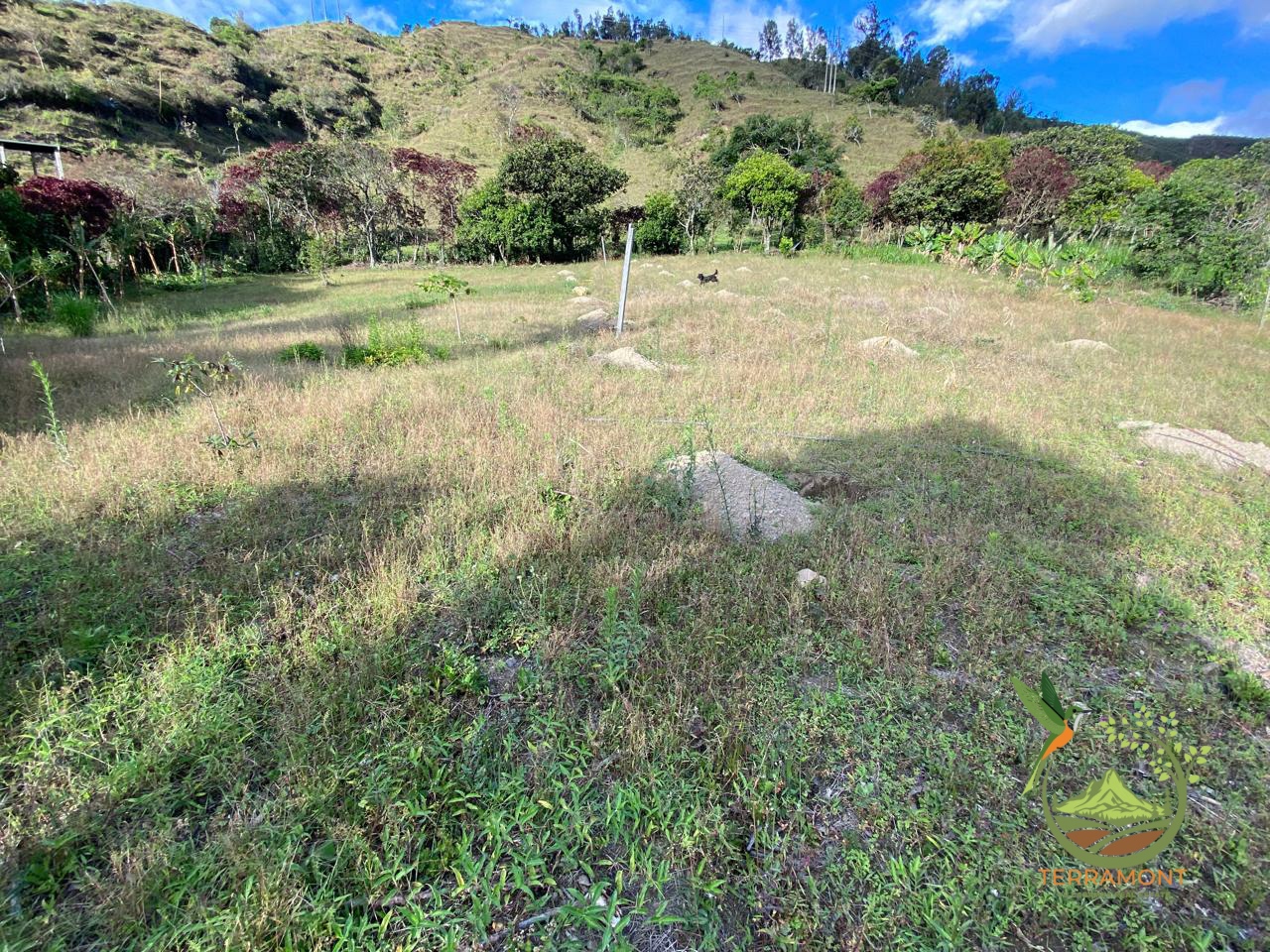 IMG-20250925-WA0074