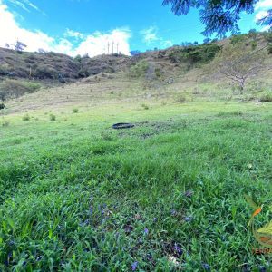 SE VENDE FINCA DE (5 HECTÁREAS 12 ACRES) EN YANGANA.