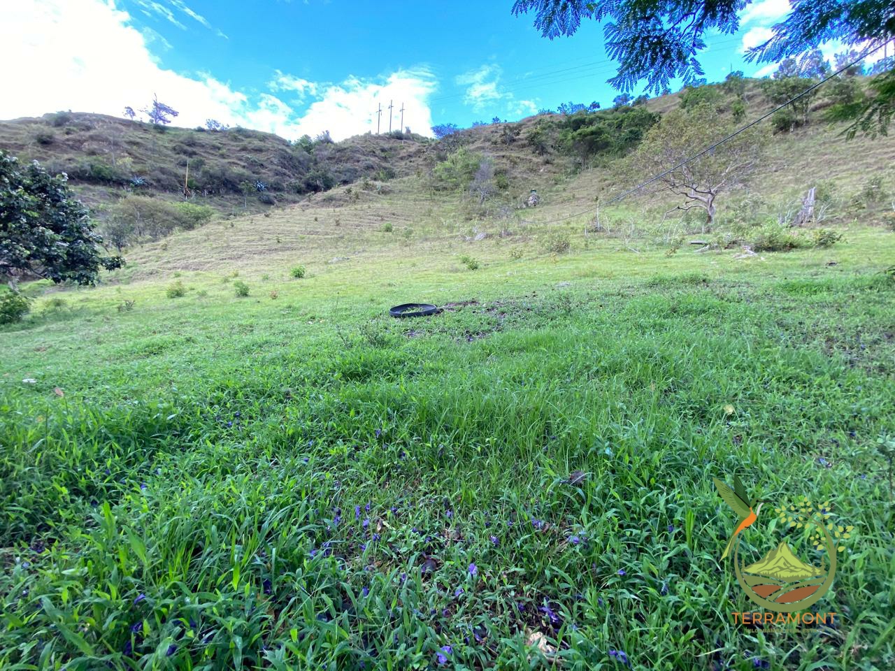 SE VENDE FINCA DE (5 HECTÁREAS 12 ACRES) EN YANGANA.