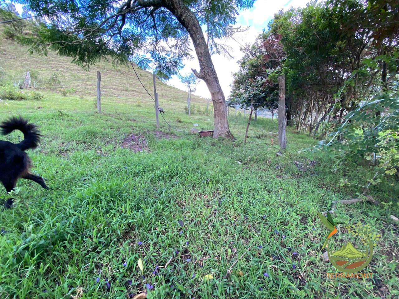 IMG-20250925-WA0082