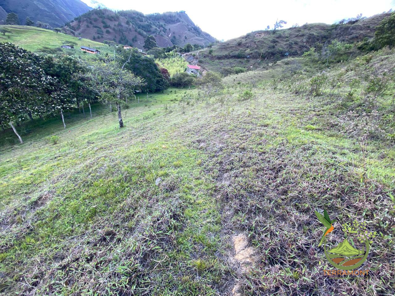 IMG-20250925-WA0087