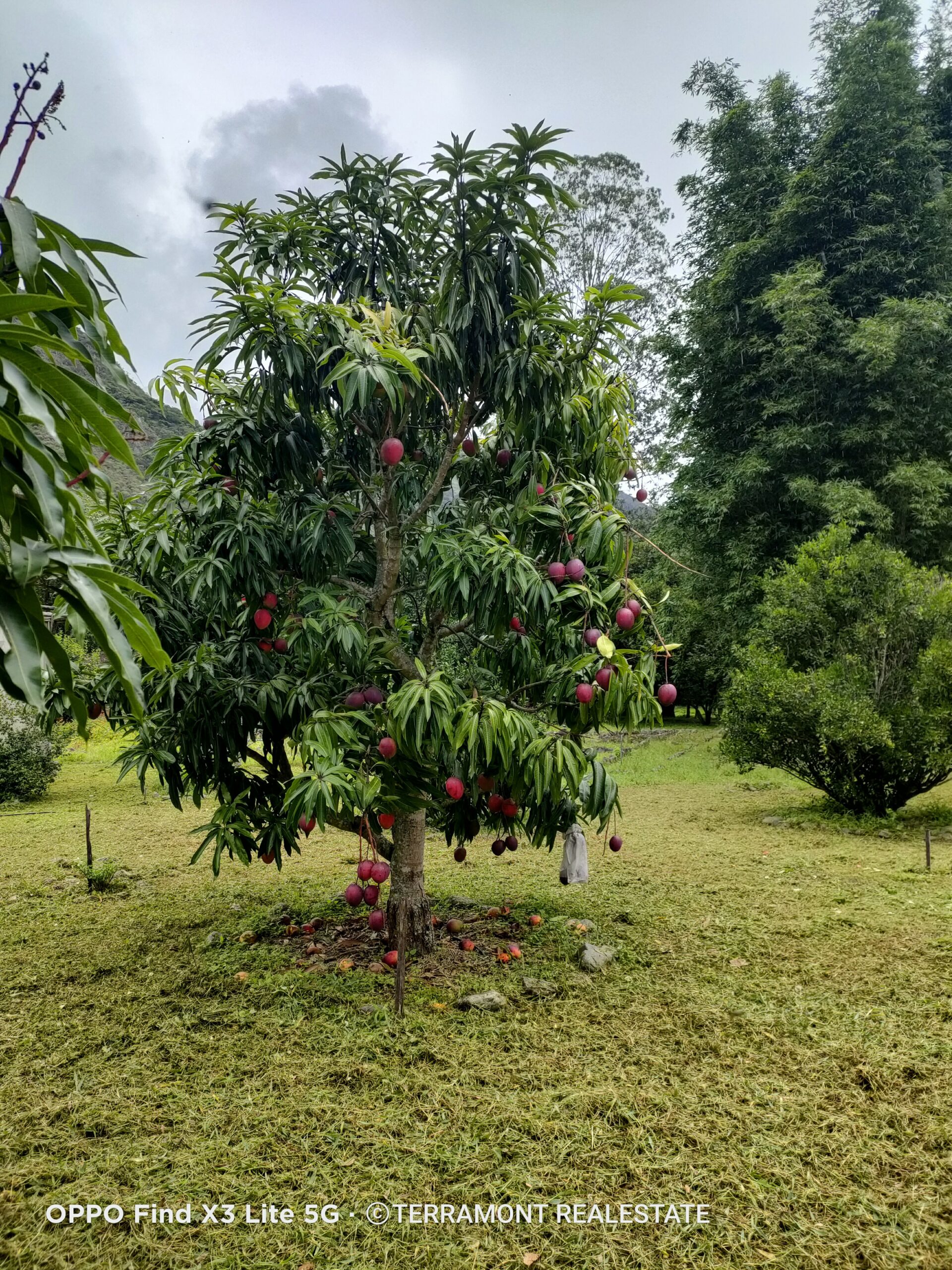 IMG20250210104905