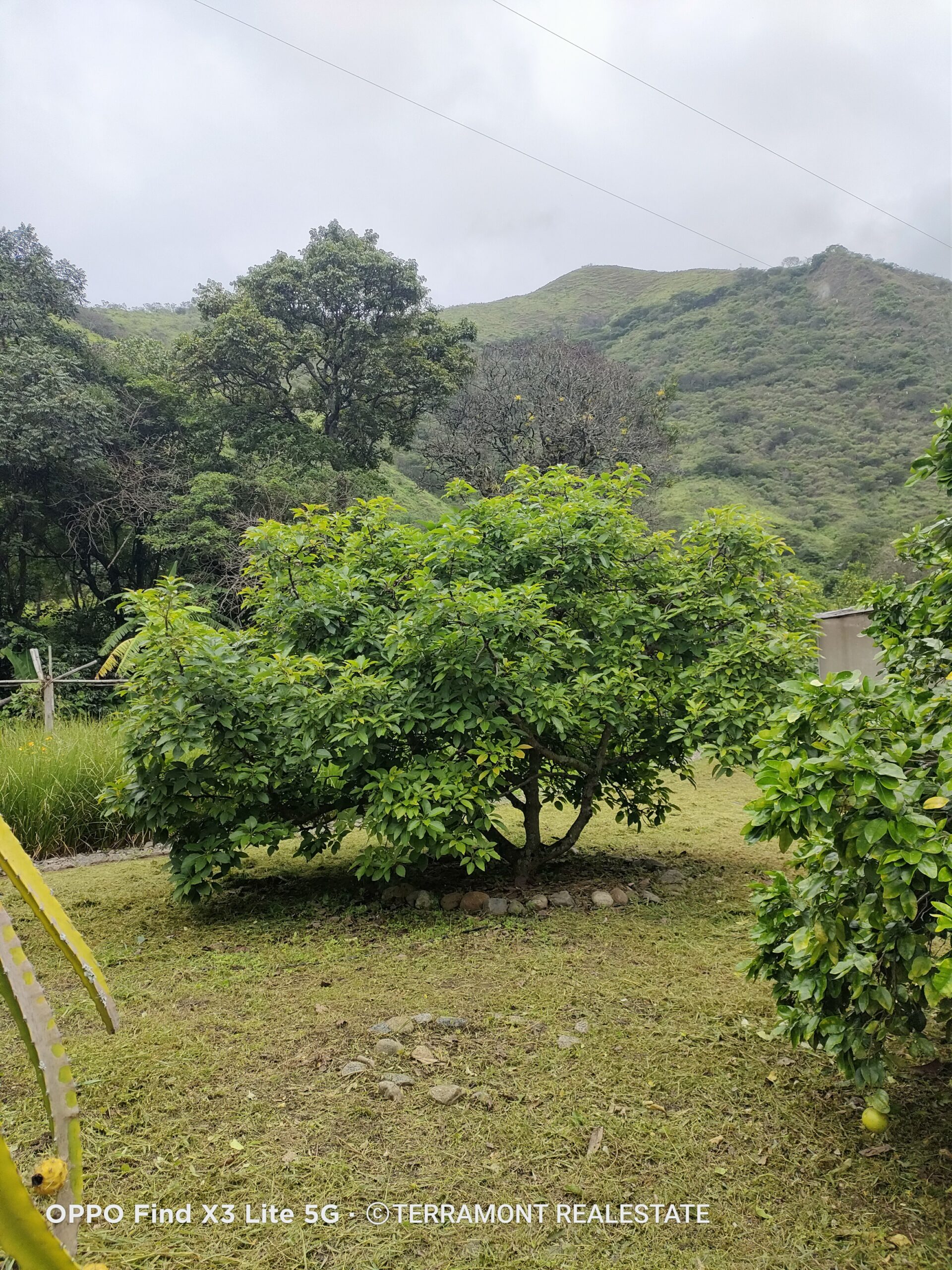 IMG20250210104942