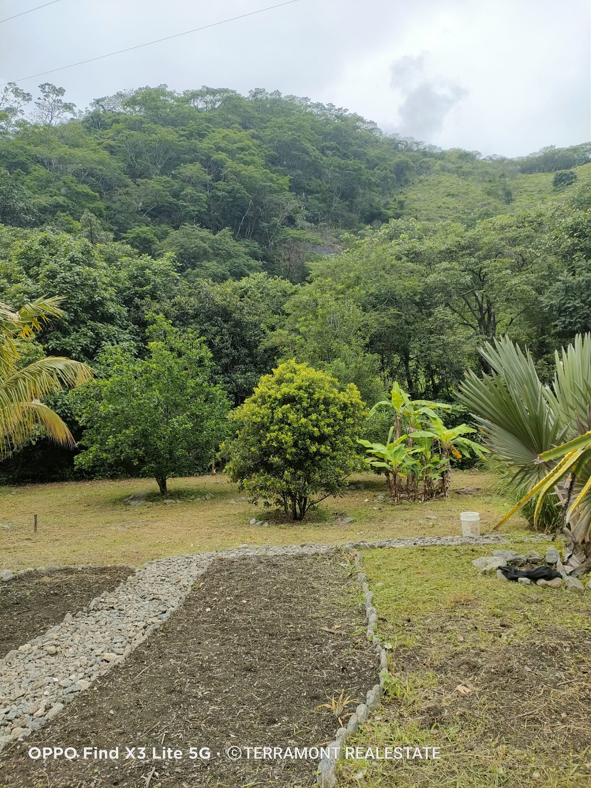 IMG20250210104945