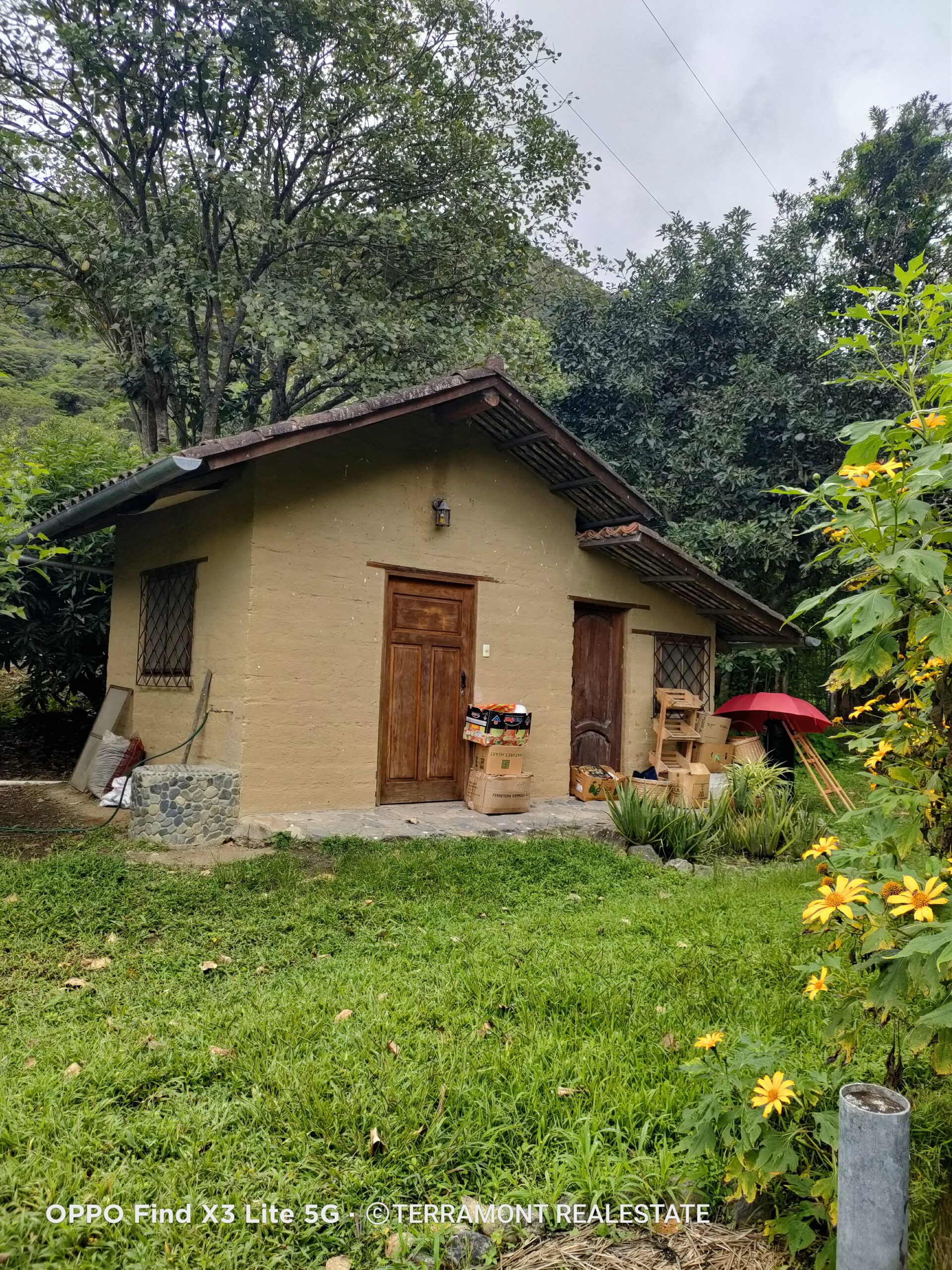 IMG20250210105901