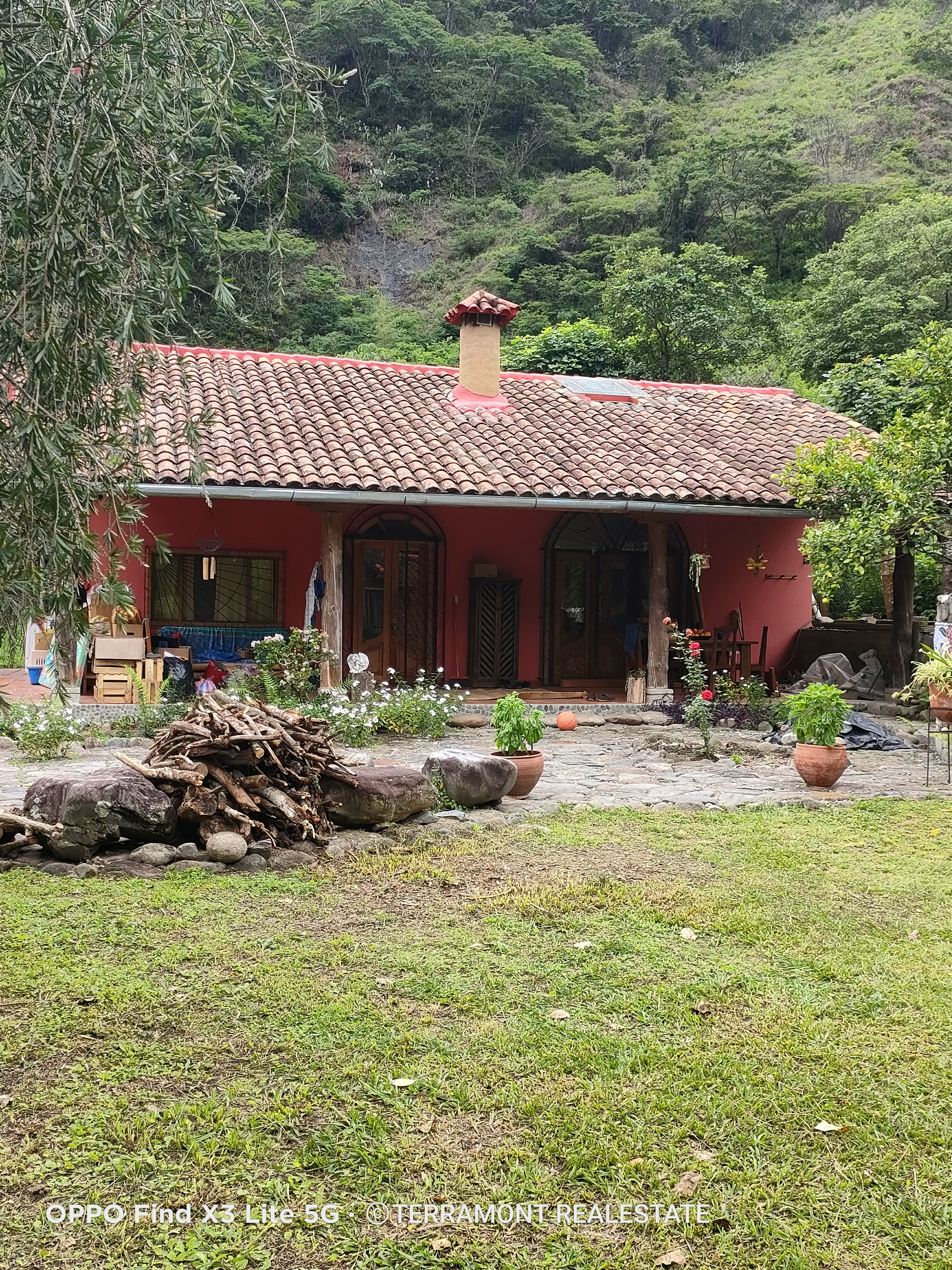 IMG20250210110120