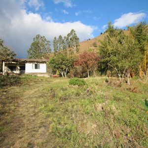 SE VENDE TERRENO EN VILCABAMBA.