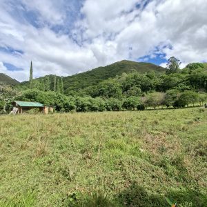 SE VENDE TERRENO CON UNA CABAÑA EN VILCABAMBA.