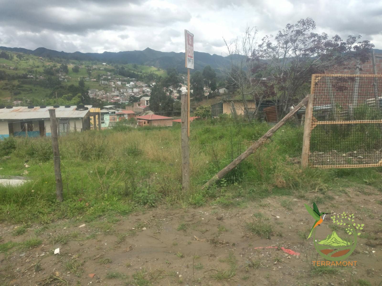 Imagen de WhatsApp 2025-11-23 a las 20.50.05_34c1578f