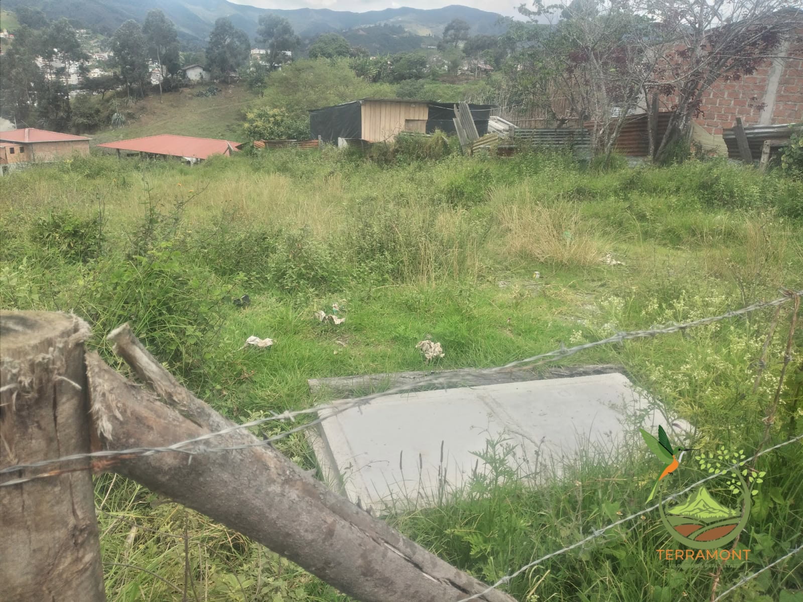 Imagen de WhatsApp 2025-11-23 a las 20.50.05_9ea2f1d9