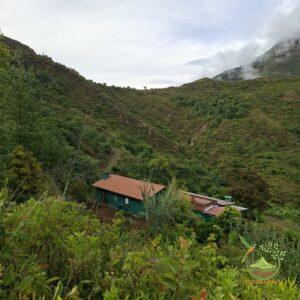 SE VENDE FINCA CON CASA CERCA EN VILCABAMBA.