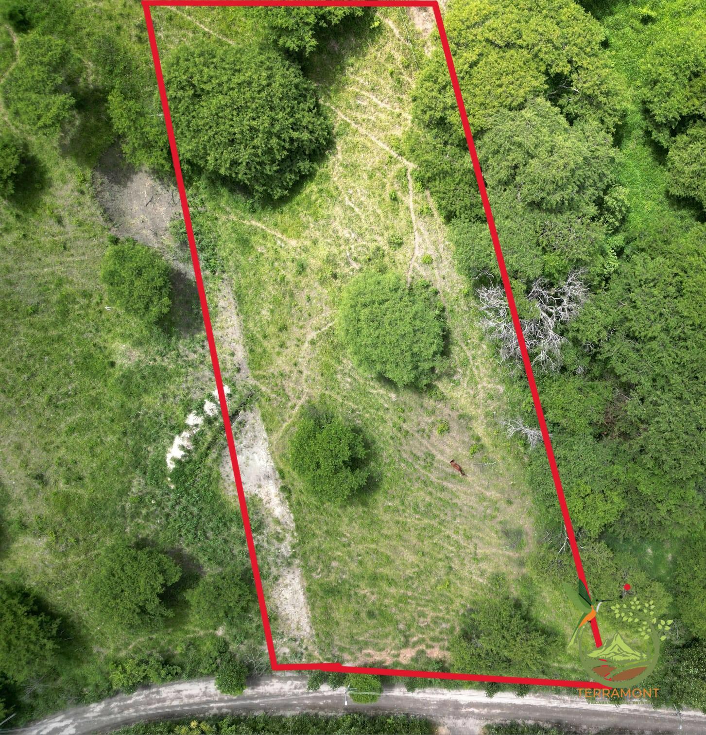 SE VENDE FANTASTICO TERRENO EN VILCABAMBA.